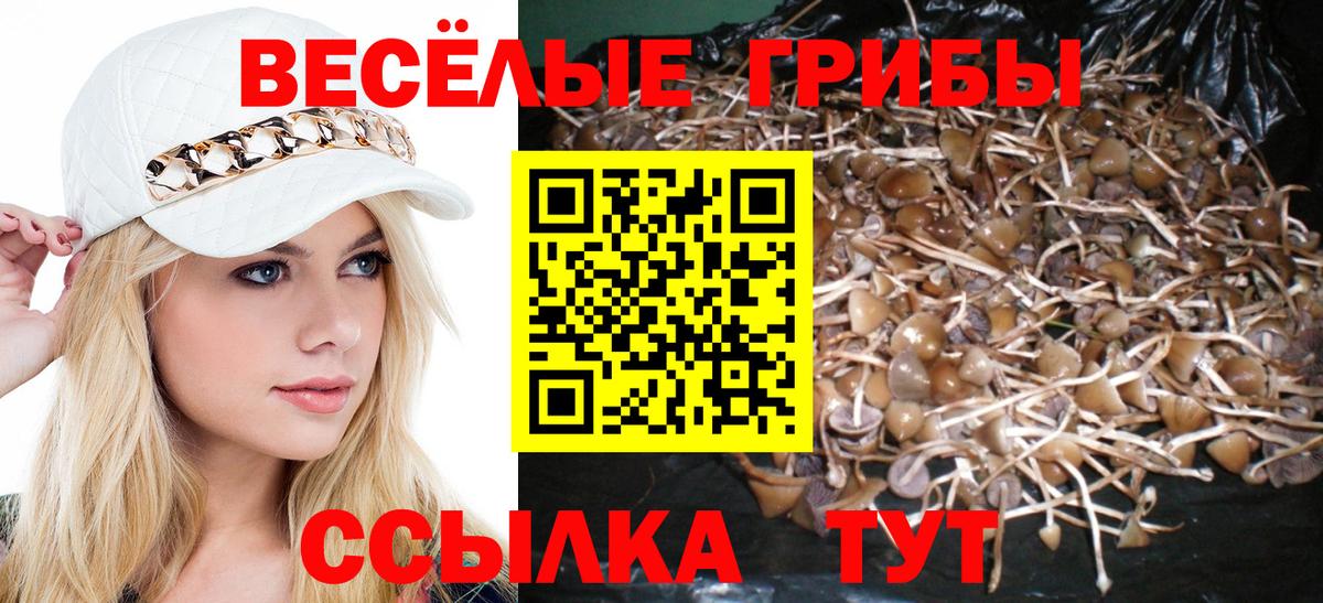 наркотики  Псилоцибиновые грибы MAGIC MUSHROOMS  Вход с VPN  Сосновый Бор 